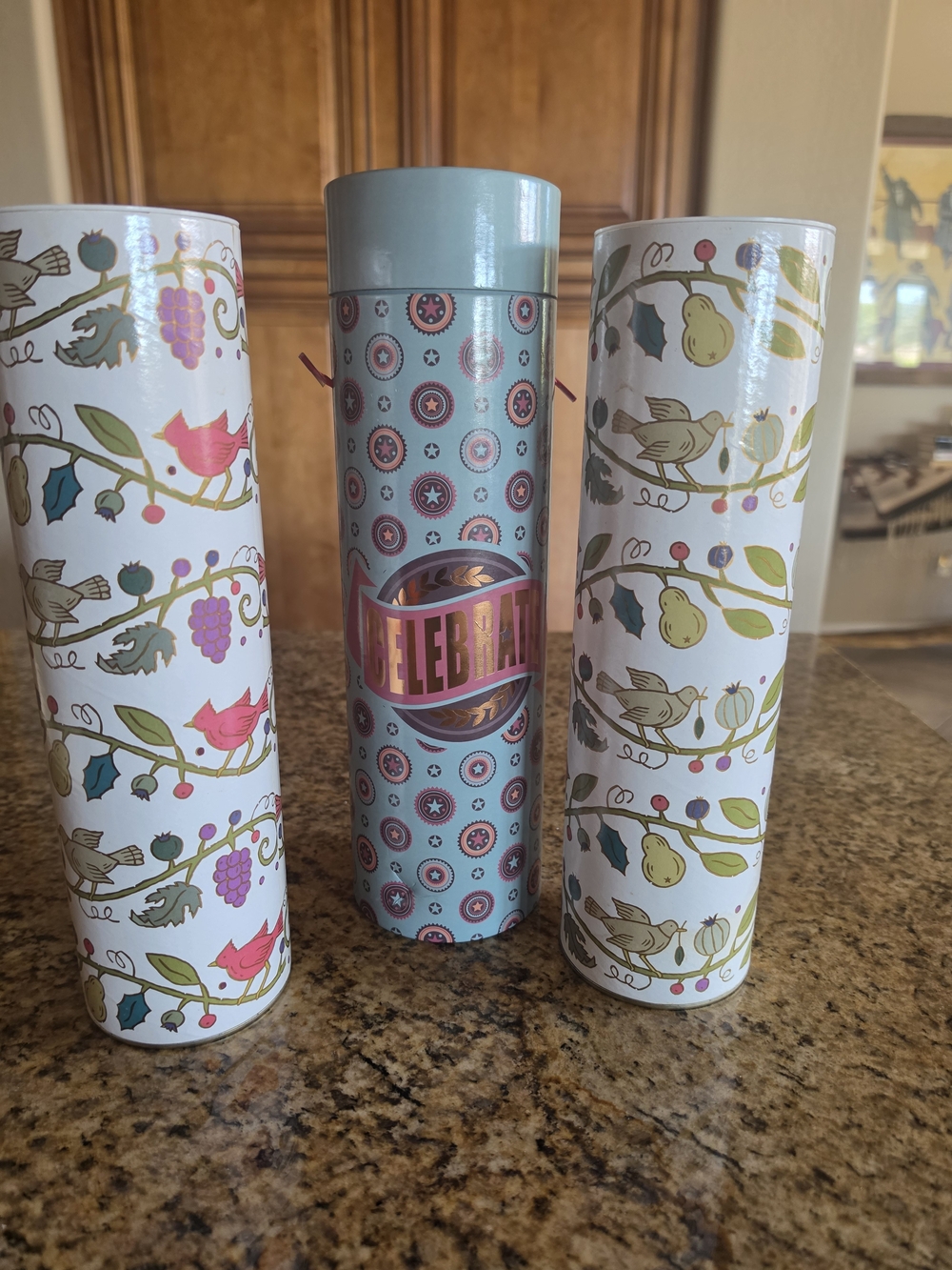 Celebrate Patterned Decorative Bottle Storage Tubes - Gift Giving Set/3 EUC